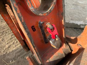 Immagine WhatsApp 2024-09-10 ore 22.34.57_9431af6c